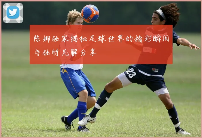 陈娜独家揭秘足球世界的精彩瞬间与独特见解分享