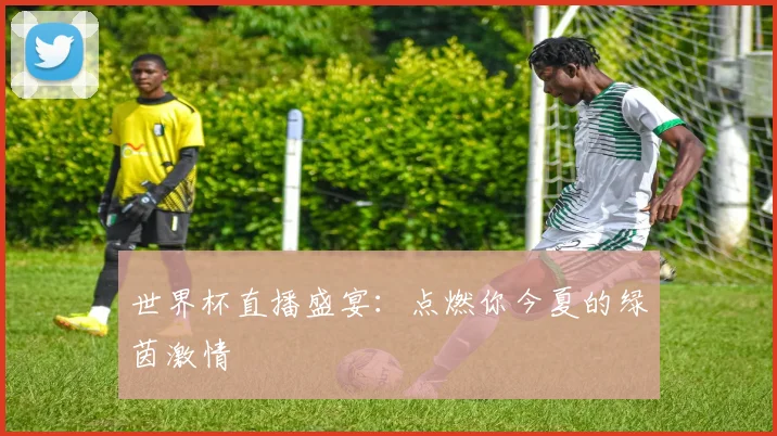 世界杯直播盛宴：点燃你今夏的绿茵激情