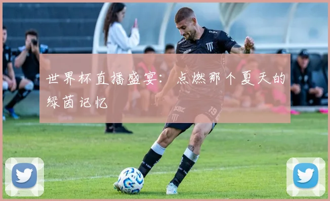 世界杯直播盛宴：点燃那个夏天的绿茵记忆