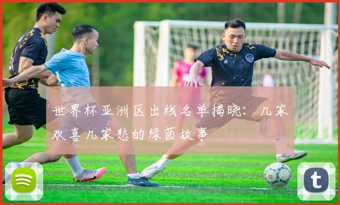 世界杯亚洲区出线名单揭晓：几家欢喜几家愁的绿茵故事