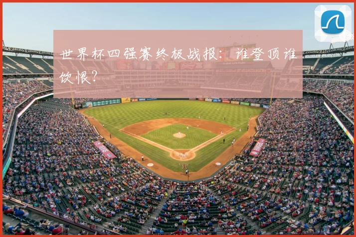 世界杯四强赛终极战报：谁登顶谁饮恨？