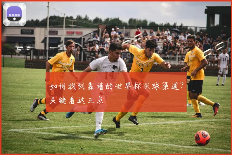 如何找到靠谱的世界杯买球渠道？关键看这三点