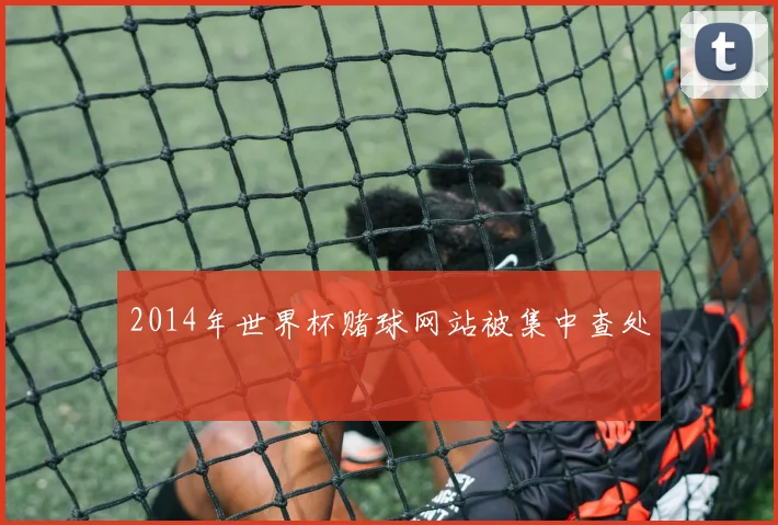 2014年世界杯赌球网站被集中查处