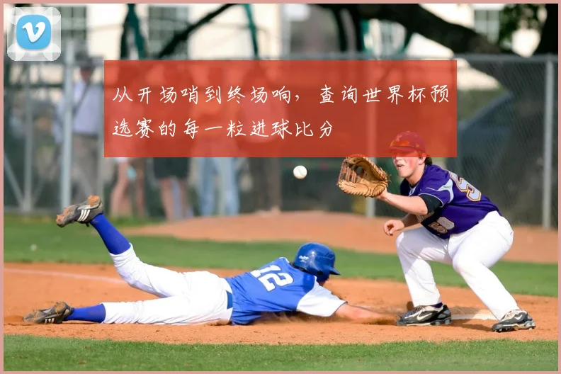 从开场哨到终场响，查询世界杯预选赛的每一粒进球比分